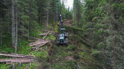 innenfor økonomi, skog og treteknologi