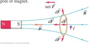 Homogent magnetfelt: Dreiemoment τ, men ingen nettokraft (translasjonskraft) Jern tiltrekkes både S-pol og N-pol. Feltet må være inhomogent. F P.g.a. indusert parallellt med B Inhomogent magnetfelt: Nettokraft på strømsløyfe 0 : F (Fig 27.