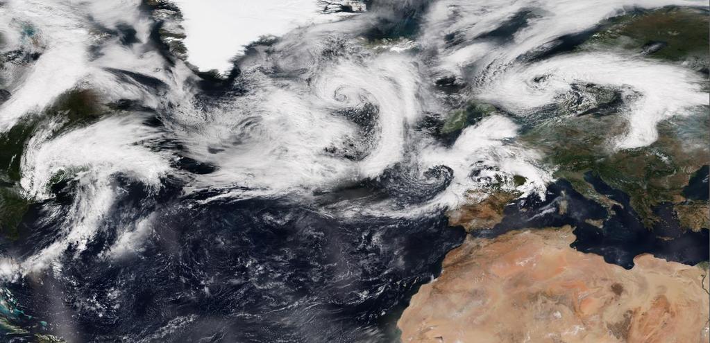 Hvite og sorte svaner Klimaendringer i et regionalt