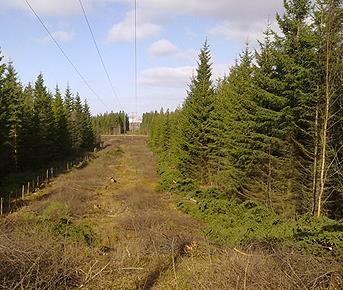 Utfordringen er skog utenfor ryddebeltet Sikringshogst Hogst utenfor ryddebeltet i privat skog Agder Energi har ingen rettigheter her, forutsetter velvilje, samarbeid og avtaler med skogeiere Vi er i