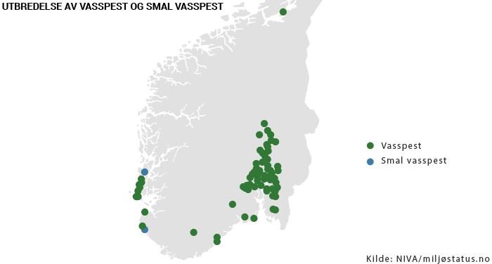 arter, som ved hjelp av mennesker har blitt introdusert utenfor det området