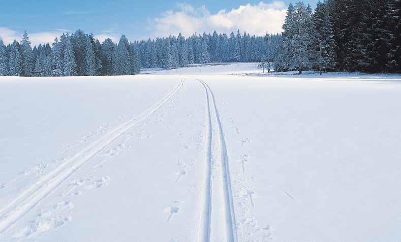 Det er fine langrennsmuligheter i Trysilfjellet, til sammen blir det kjørt opp 130 km med langrennsspor. Om sommeren er Trysil et fiske-eldorado.