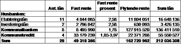 Av lånefinansierte investeringer ligger det nå 58,1 millioner kroner inne for kommende fireårsperiode. Av dette er 41,1 mill. kroner i nybygg og oppgraderinger, 12 mill.