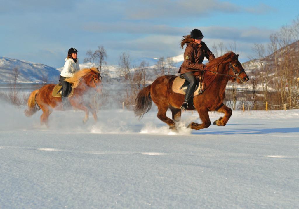 sterk-mangfoldig-ekte Foto: Graham Austick Den nordlige landsdelen er rikholdig, sammensatt og krevende. Folket i Nord har vært tusenkunstnere og overlevere.