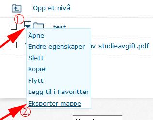 Dersom man benytter denne løsningen så vil alle filene innenfor mappen lastes ned i en.zip mappe.