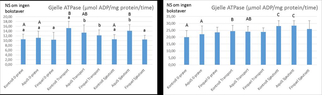 ser ikke ut til at sedasjon demper stressbelastningen under transport lest fra ATPase-aktiviteten, da begge sedasjonsgruppene er lavere enn kontrollene etter sjøutsett.