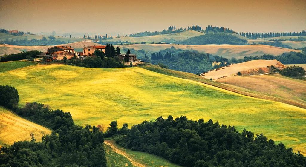 1 TOSCANAS HJERTE En reise til Toscana er en fest for sansene! Den vakre regionen er verdenskjent for sine maleriske landskap, olivenlunder, vinranker og vakre kunstskatter.