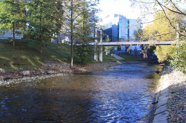 Strykparti med stein 5-25 (40) cm, endel sand/grus iblandet mye murstein og skrot. Brunlig algebegroing om våren, litt begroing av grønne alger om høsten.