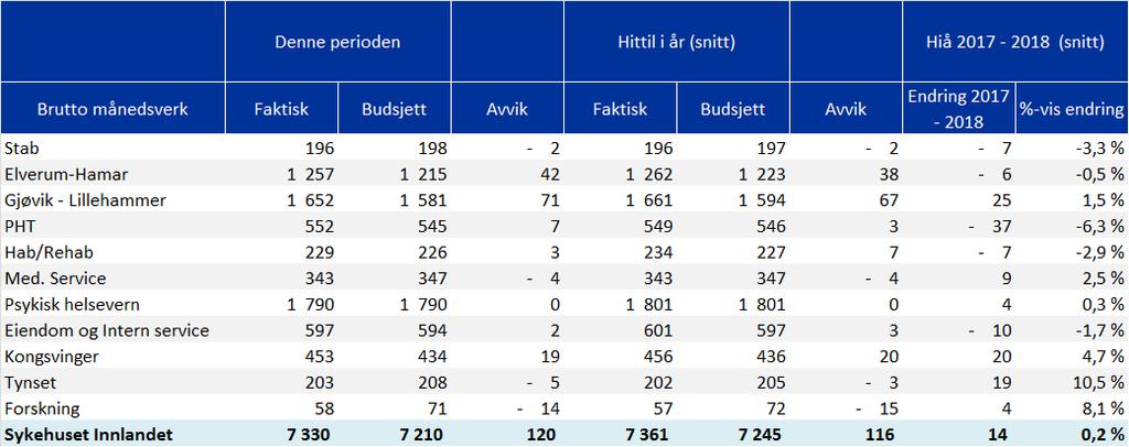 Bemanning månedsverk pr