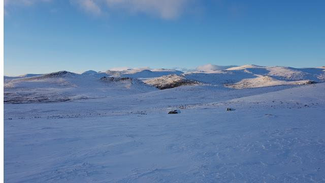 VILLREINJAKTA Det ble på årsmøtet 2017 vedtatt en kvote på 1000 i Snøhetta Øst og 200 dyr i Snøhetta Vest.