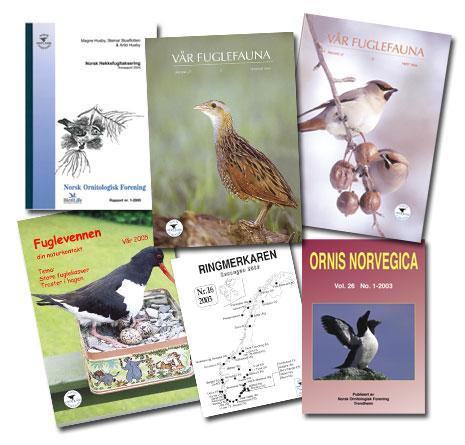 Tidsskrifter Sekretariatet er ansvarlig for utgivelsen av tre forskjellige tidsskrifter. Vårt hovedtidsskrift Vår Fuglefauna kom som vanlig ut med fire nummer dette året.