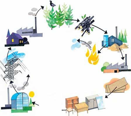 Miljø Skog CO 2 Trevirke Industri Treindustri Bolig Produksjonsenergi El-energi CO 2 Sponplateproduksjon Møbel- og innredningsindustri Forbrenningsanlegg Boligindustri Forestia har en av nordens