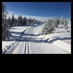 Årsrapport 2018 - Kyrkjebygdheia Løypelag Så ble det endelig en vinter med mye snø og flotte skiforhold. Første oppkjøring med spor ble foretatt 5 januar, som var over en måned tidligere enn året før.