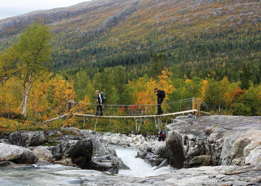 Mye gadd og læger, men området har vært hogd, store diameter på stubbene. Vegetasjonen varierer fra tørre røsslyng-blokkebær m/furu, til fuktige, frodige bekkesøkk med høgstauder og bjørk.