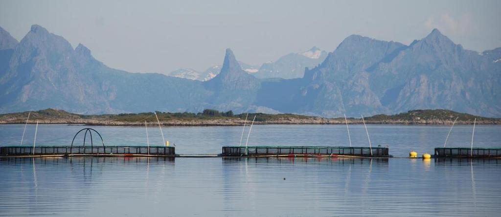 Mange forskningsprosjekter i kystsonen SaRA: om konsesjonssystemet i havbruksnæringa Havbruk 2030 (FHF) Coreplan COAST-BENEFIT (UiS)