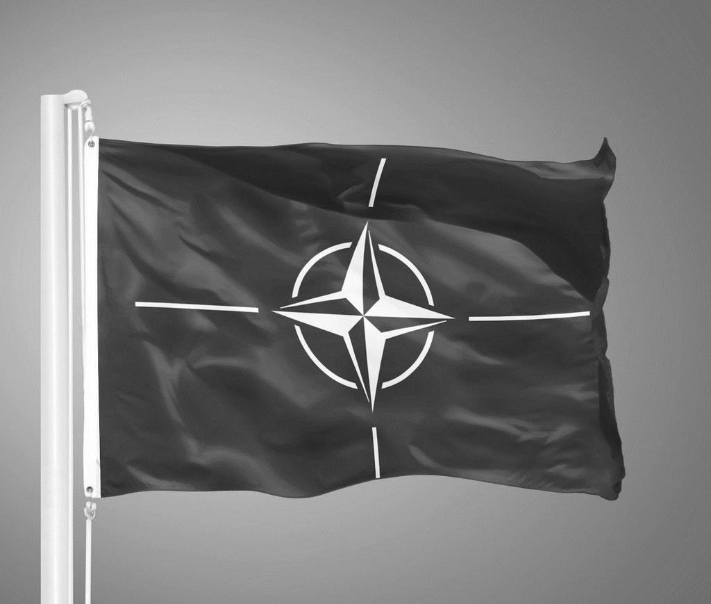 Tendenser i det sivile beredskapsarbeidet Sivilt beredskapsarbeid generelt økt oppmerksomhet i NATO Fokus på