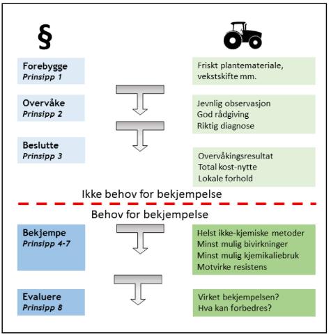 Yrkesdyrkere bør begrense bruken av sprøytemidler og tiltak til det nødvendige gjennom reduserte doser, redusert antall behandlinger eller begrenset omfang (f.