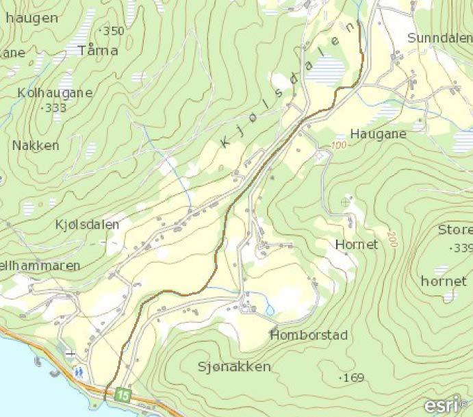 1 SKILDRING AV VASSFØREKOMSTEN Kjølsdalsselva renn ut i Nordfjord ved Kjølsdalen i Eid kommune. Nedbørfeltet er på 24,3 km 2. 44 % av nedbørfeltet er skog og 43 % er snaufjell/opent.