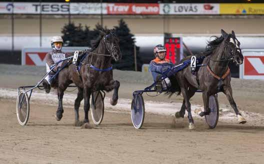 GRATIS INNGANG Banekode: 01 Varmingsinfo fra Ole Jonny Solberg BJERKEBANEN Nr 3/2019 Kr 25 Sirikit/Olav Mikkelborg (foto: hesteguiden.