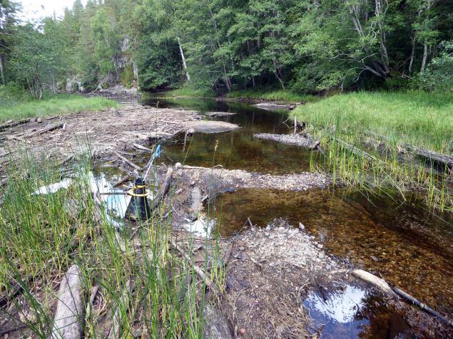 Foto: Kjell Sandaas 2017. 3 Metoder og materiale Feltarbeidet ble gjennomført under generelt gunstige observasjons- og arbeidsforhold 28.07.2017. Vanntemperaturen varierte fra + 18 C stigende til ca.