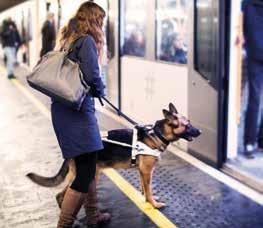 Førerhunden er et offentlig hjelpemiddel og gir stor frihet til deg som har en aktiv hverdag, i tillegg til at det er en god venn og turkamerat.