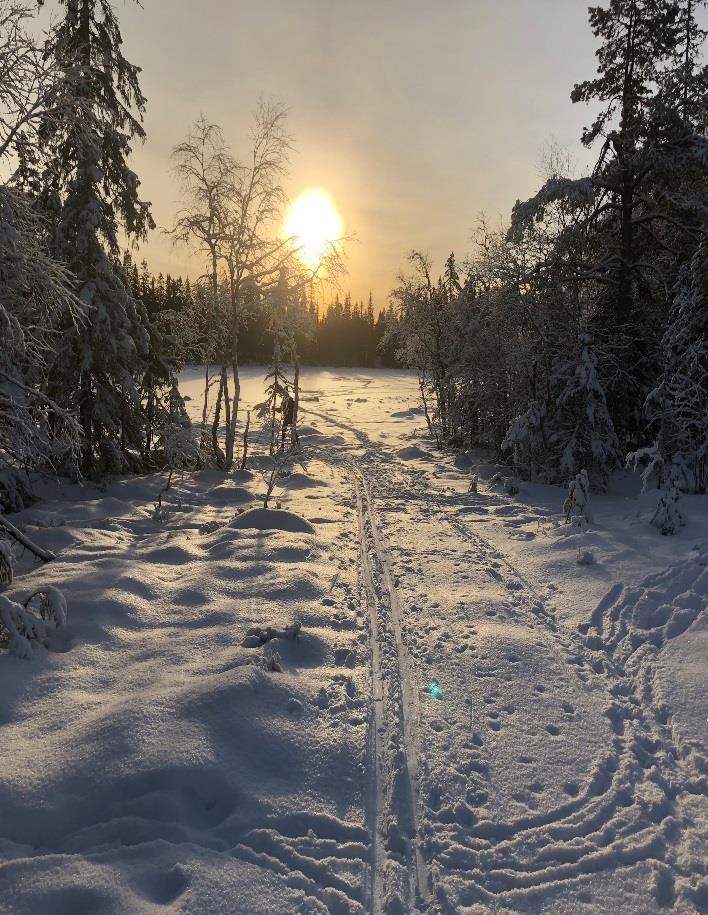 Om STIEN fra A til Å Trøndelag 27.