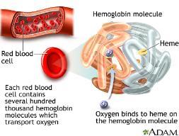 Anemi Symptomer Tretthet Svimmelhet og hodepine Rask puls, hjertebank og tungpust Blek hud og slimhinner Evt angina pectoris og