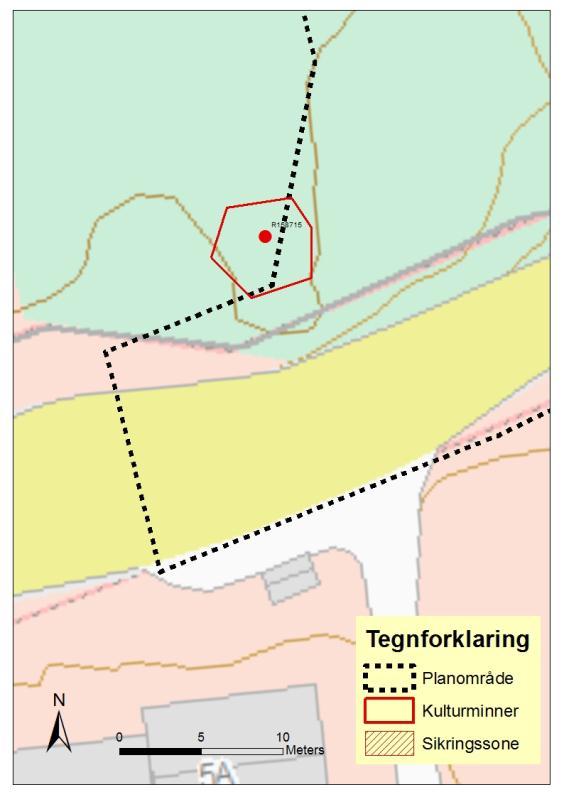 Røysen er mosegrodd, dekket av løv og bevokst med trekløver, lavere busker og gress/strå. Ett løvtre vokser i nordnordvest og ett i nord-nordøst.