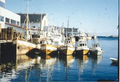 Disposisjon Fiskeriforvaltning et ondt problem de mange målkonflikter Ondets løsning «De mange små beslutninger»