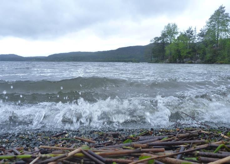 Vannområde Inn-Trøndelag Det skal etter vannforskriften gjennomføres overvåking i alle overflate- og grunnvannsforekomster som har risiko for ikke å oppnå miljømålene innen 2021.