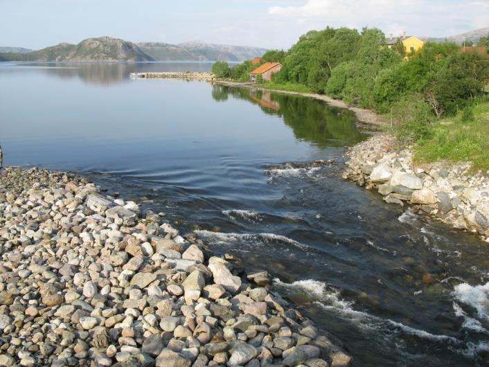 Vannområde Ytre Namsen Det skal etter vannforskriften gjennomføres overvåking i alle overflate- og grunnvannsforekomster som har risiko for ikke å oppnå miljømålene innen 2021.