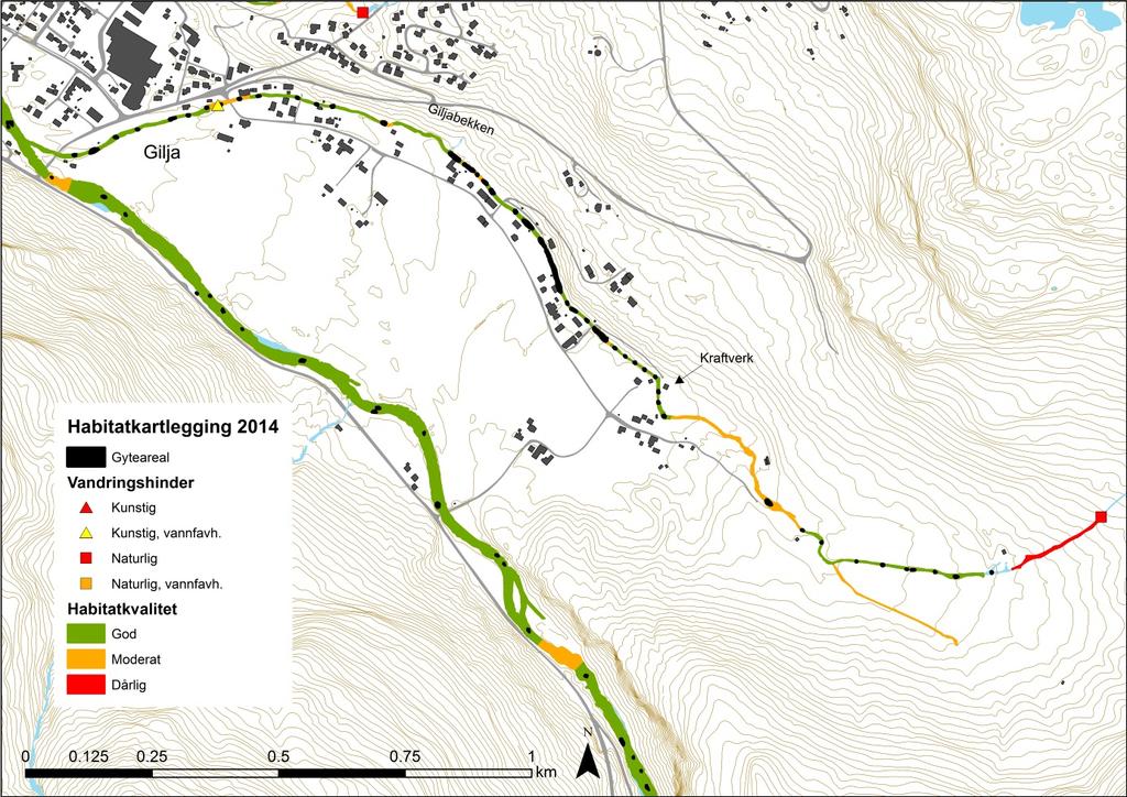 Figur 10. Kart over gytemuligheter og habitatkvalitet i Giljabekken.