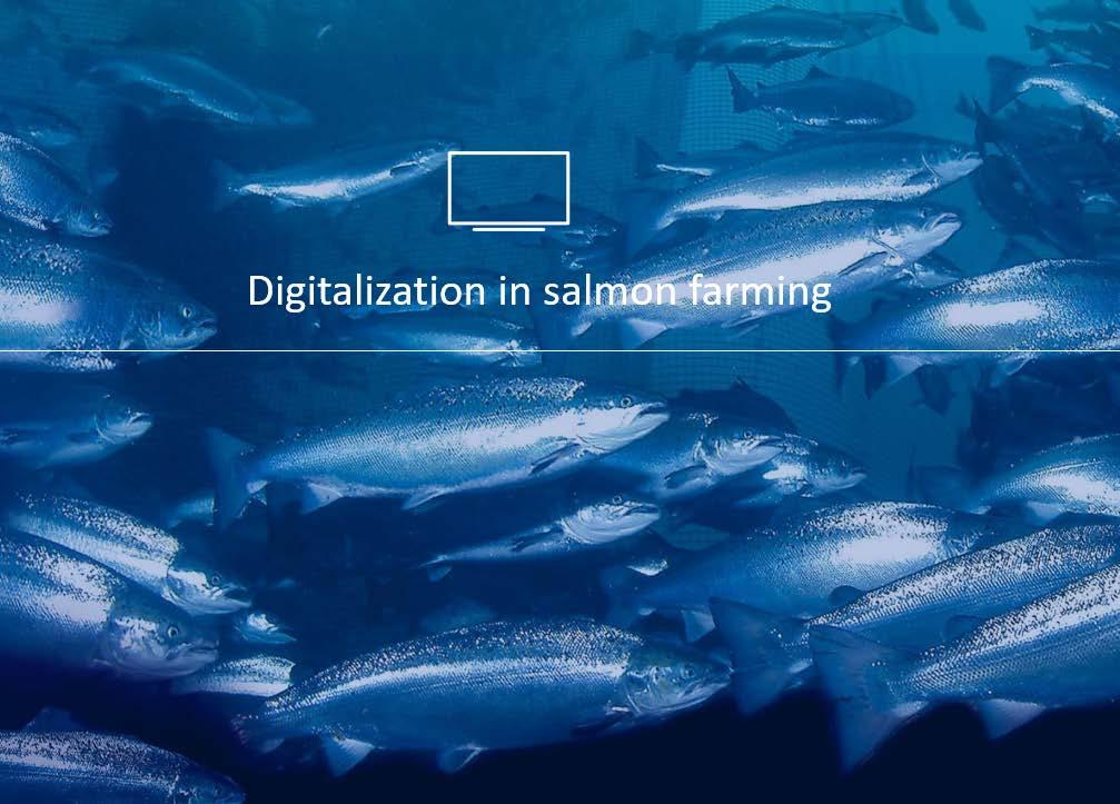 Precision Farming - GSF sin digitale transformasjon Agenda Om Grieg Seafood Digital transformasjon Data som endringsdriver - Integrert operasjonssentral - Fôr optimalisering - Big data