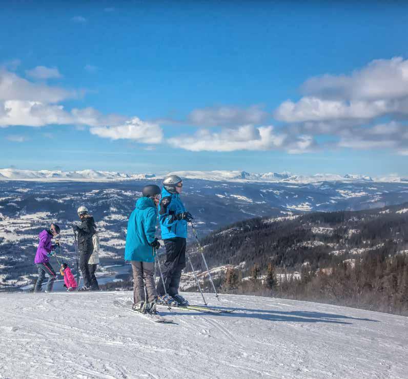 AURDAL I VALDRES Arkitekttegnede hytter på solsiden ski inn/ski ut foto: Aurdal.