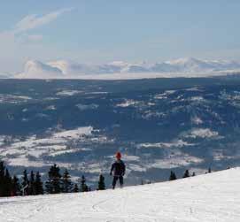 Aurdalsåsen er kjent for sitt flotte turterreng med skiløyper helt til Beitostølen. Området har de senere årene blitt oppdaget som en naturperle som ligger i behagelig avstand fra østlandsområdet.