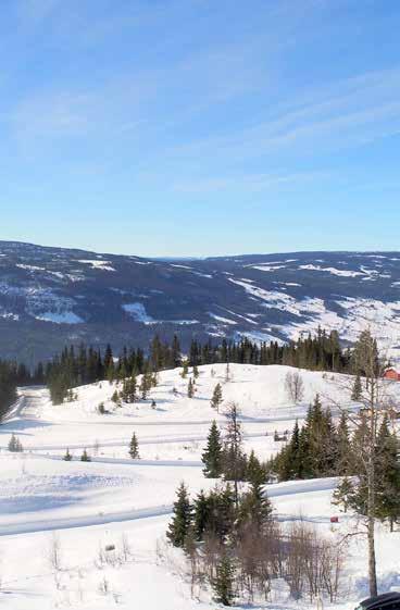 4 DAMTJEDNLIE ALPIN Aurdalsåsen, Valdres TINDE HYTTER Bygger varige verdier HYTTEFELTET Her kan du sikre deg en splitter ny hytte som ligger perfekt til i Aurdalsåsen.