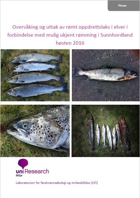 Fiskeridirektoratet Rapporten