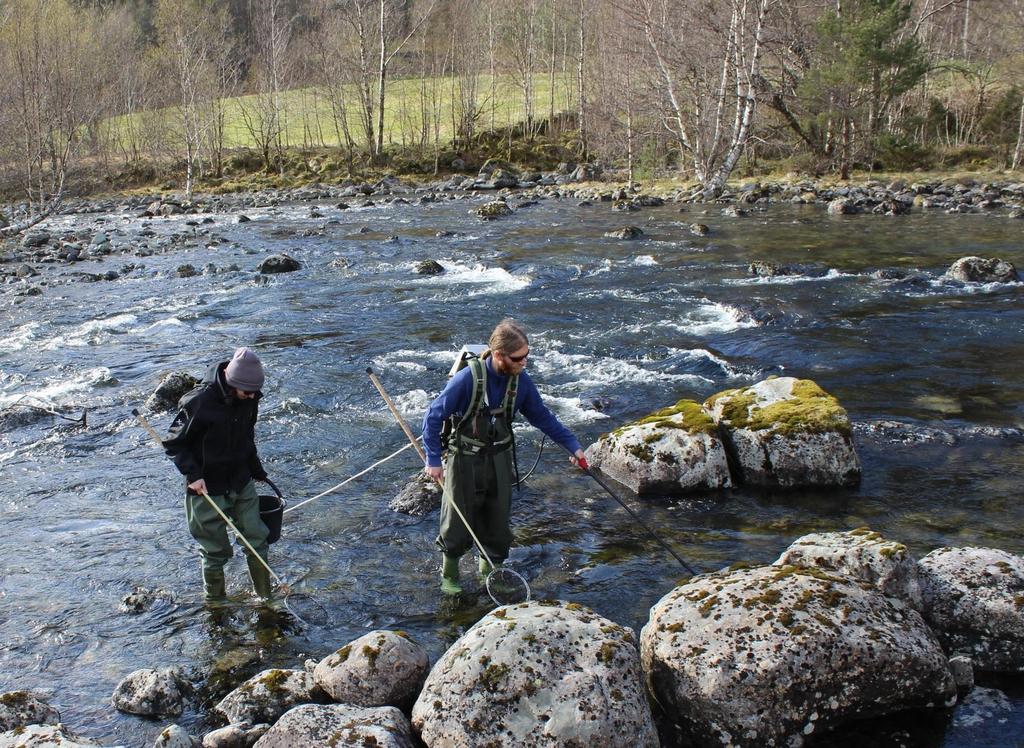 El-fiske Undersøkelse våren 2015 (Rogaland, Hordaland, S&F)