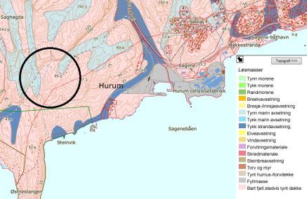 2.12 Miljøtema: Nærmiljø, grønnstruktur og friluftsliv Området er del av et større skoglandskap.