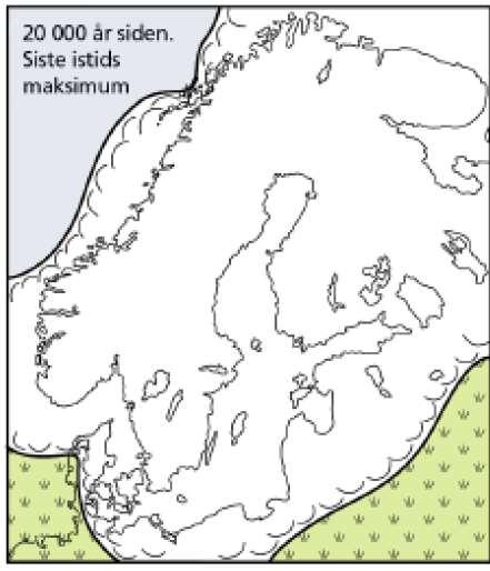 Siste istid startet for 120 000 år siden og isen