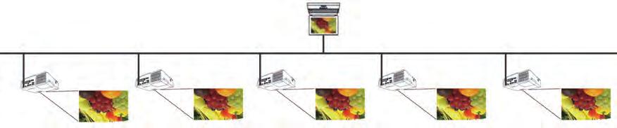 (klienter) eller switcher som er koblet til en projektor, via trådløst LAN eller kablet LAN.