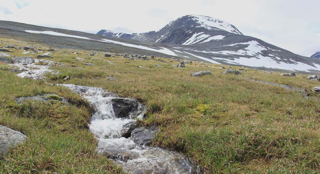 1.2.3 Grensekryssende vassdrag Enningdalsvassdraget har et nedbørsfelt som begynner i Sverige, og vassdraget munner ut i Norge. Vannområdet er inkludert i forvaltningsplanen for vannregion Glomma.