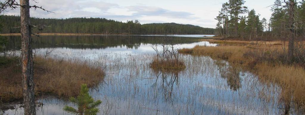 3.6.1 Fremmede arter Fremmede arter i vassdrag og kystvann inkluderer fiskearter, krepsdyr, planter og andre organismer som ikke hører hjemme i norsk natur.