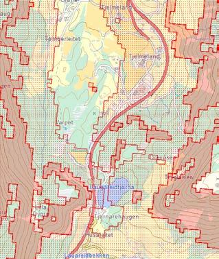 Nesten heile planområdet er dekkja av både utløysnings- og utløpsområde for snøskred. Aktsemdområde for snøskred (raud) og steinsprang (svart) utlosnings- og utlaupsområde. Kjelde: www.geo.ngu.