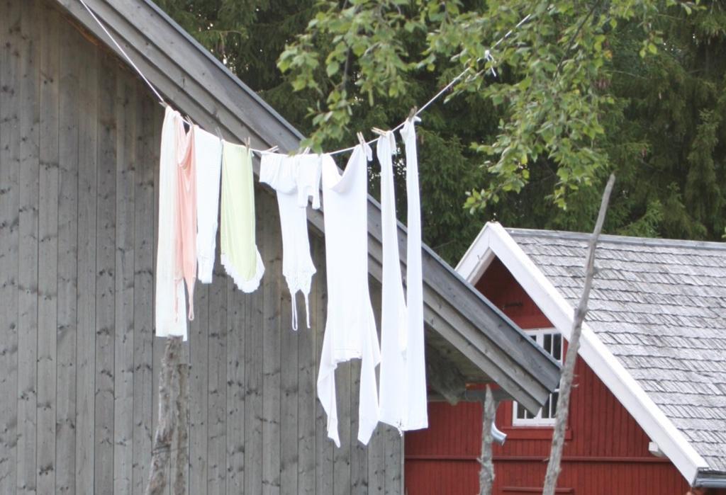 Dagstur for voksne Emil i Lønneberget Utendørsteater i Prøysen Dagstur for voksne Sjusjøen Fottur rundt Sjusjøvatnet Tid: Søndag 8. juli kl. 18.