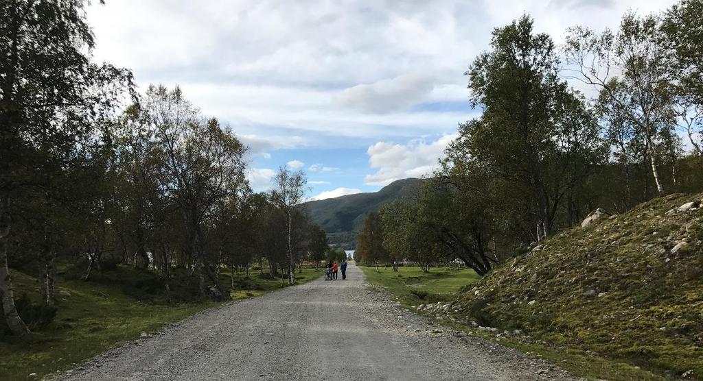 Side 7 av 9 Figur 8 Siktlinje fra Svartisvegen mot Holandsfjorden. 2.