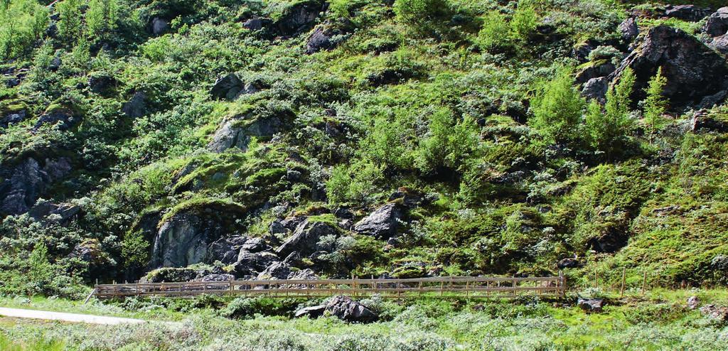 Forskrift for Mørkridsdalen landskapsvernområde 3 pkt. 1.2 e) Reglane er ikkje til hinder for oppsetjing av sanketrøer og naudsynt gjerding i tilknyting til stølsområda.
