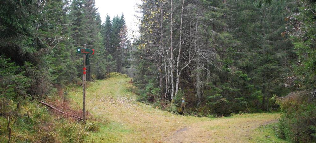 Mot nordvest markerer bla. Tanumåsen, Ringiåsen, Ramsåsen og kulturlandskapet mellom disse, overgangen til de helhetlige skogsområdene Vestmarka og Krokskogen.