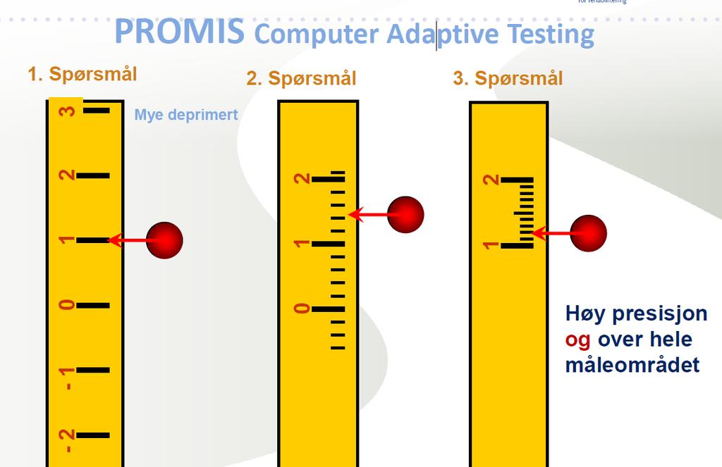 PROMIS Computer