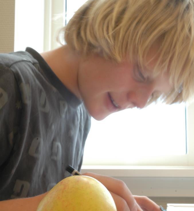 Vurdering. Vurderingsordninger har betydning for elevenes faglige og sosiale utvikling Hvilke vurderingssituasjoner er nødvendige for å ivareta forskrift om vurdering?